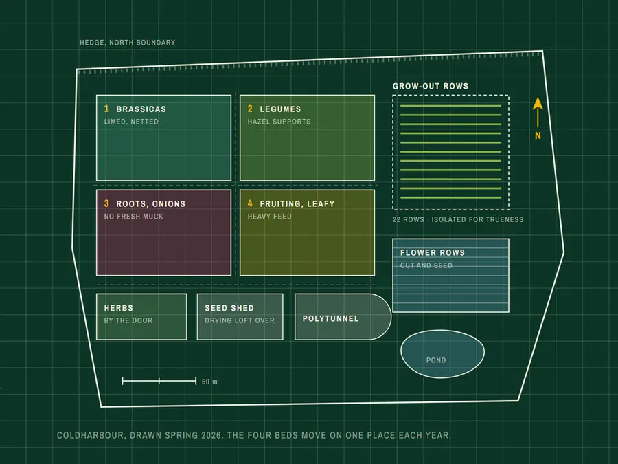 Coldharbour website, a seed catalogue laid out as a planted site plan